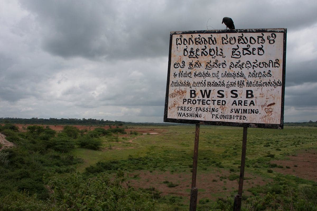 The Hesaraghatta Lake, which is a manmade reservoir that was created in 1894 across the Arkavathi River to meet the water supply needs of Bangalore. However, the reservoir has last been filled up in 1994 and subsequently, it has deteriorated and gradually dried up to state it is in today.