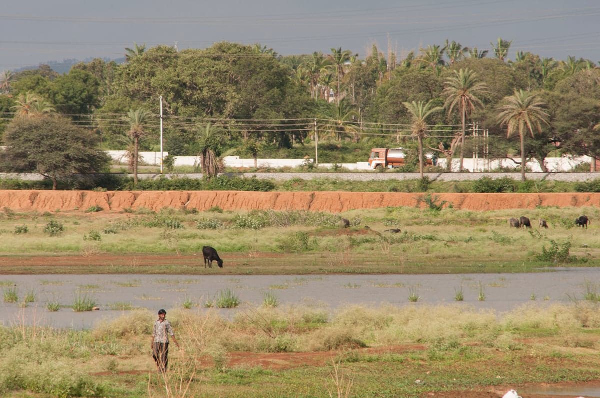 The cleaned up Nagakere lake in Doddaballapura whose revival was initiated by SVARAJ and Nagadala in 2005 then continued in collaboration with rest of the citizens.