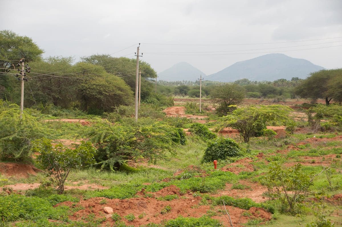 The region through which the Arkavathi River used to once flow at Thimmasandra, one of the villages of Doddaballapura closer to Nandi Hills.